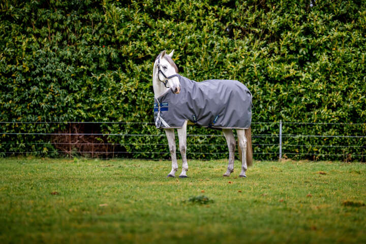 HORSEWARE AMIGO Outdoordecke Bravo 12 100 g Turnout